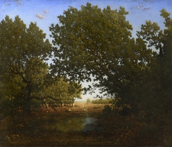 THEODORE ROUSSEAU  French, 1812-1867  Chêne penché sur une mare au Bas-Breau, forêt de Fontainebleau  Circa 1860